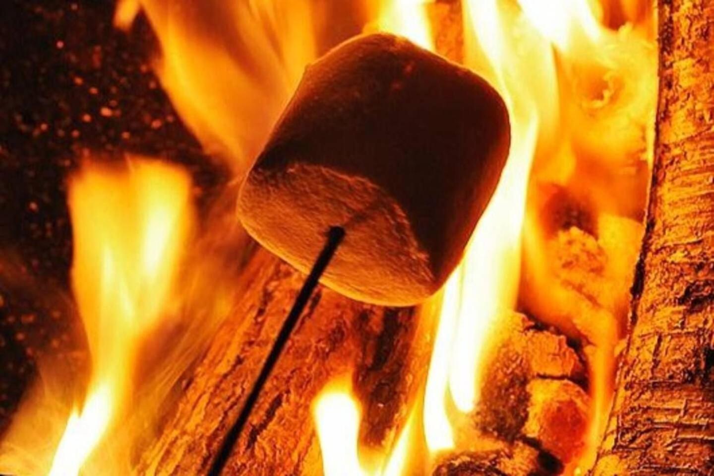 Com Jacuzzi Sauna Lareira E Telao Cinema *